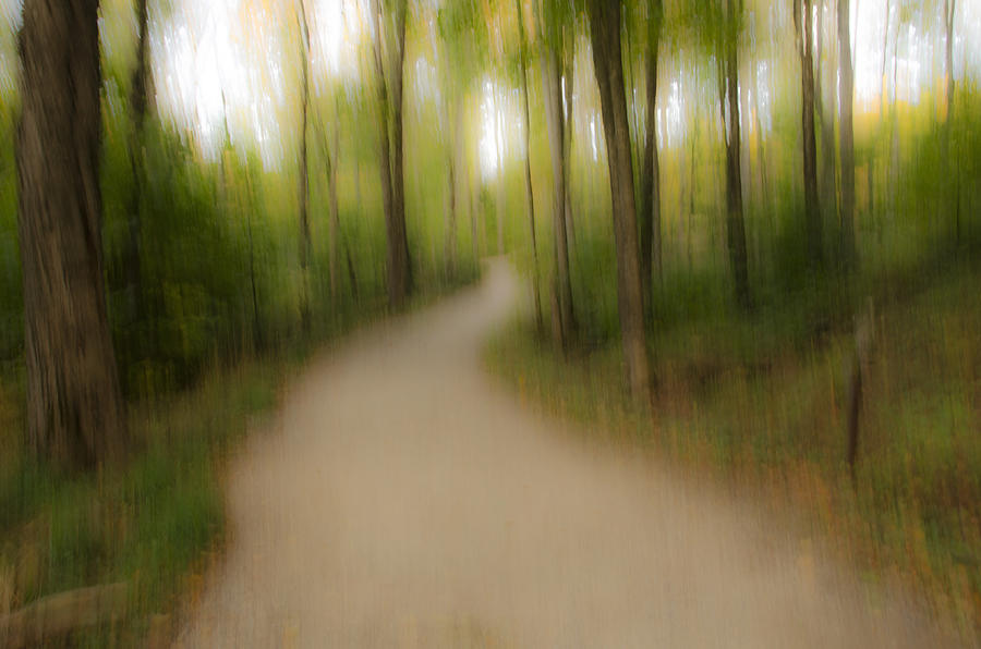 Abstract Forest Trail Photograph by Peg Runyan