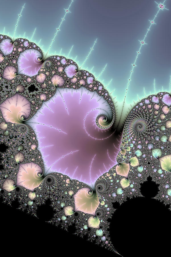 Abstract fractal image Digital Art by Matthias Hauser