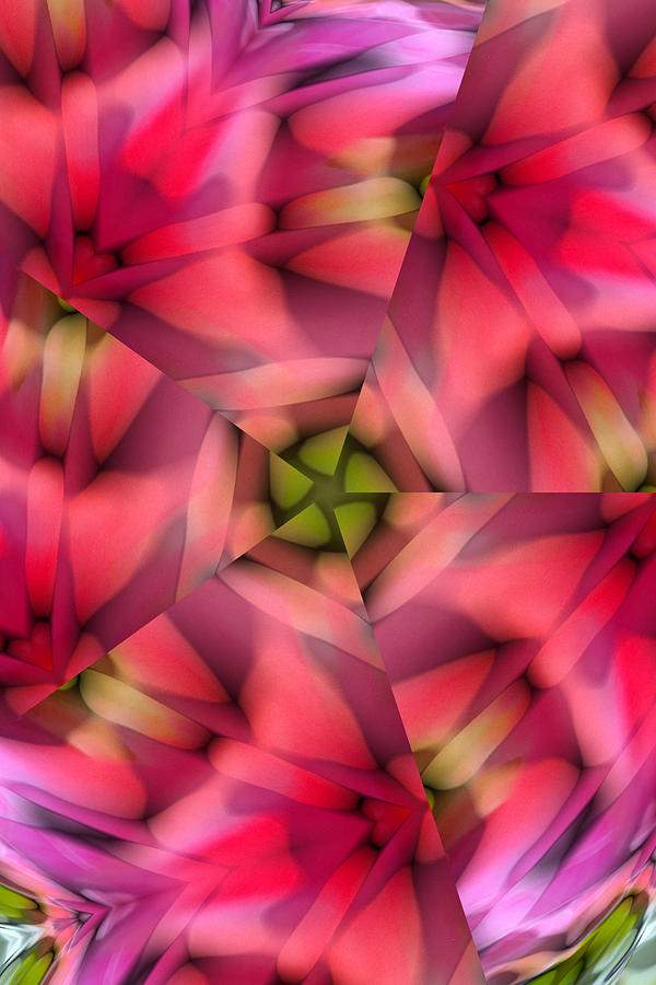Abstract from Pink Rose Digital Art by Linda Phelps
