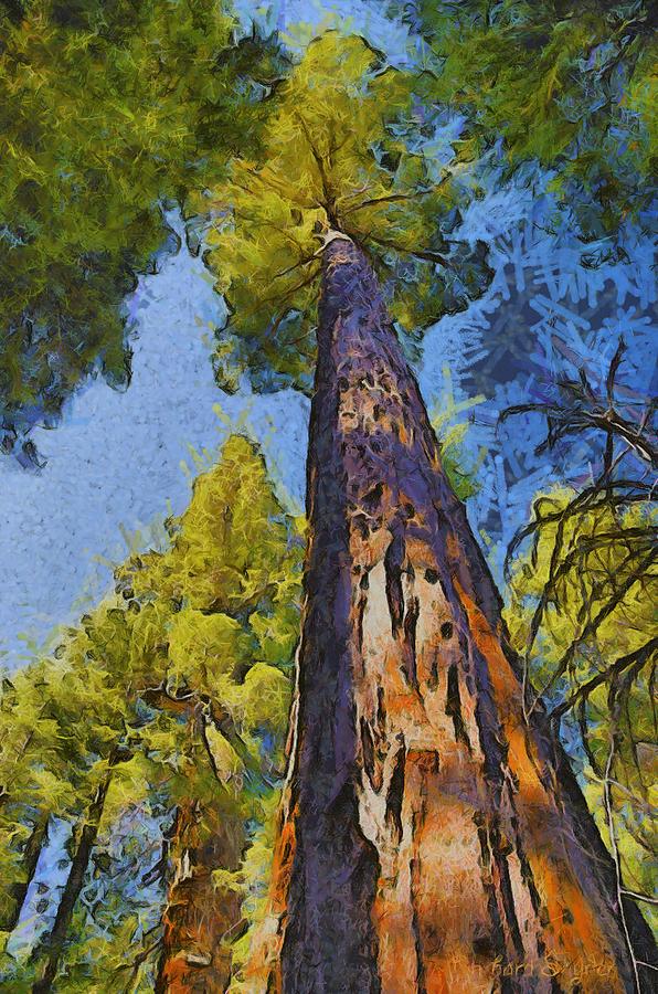 Abstract Giant Sequoia Photograph by Barbara Snyder - Fine Art America