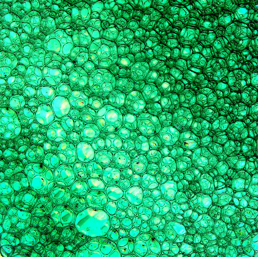 Abstract Photograph - Abstract Green bubbles by Patrick Dinneen