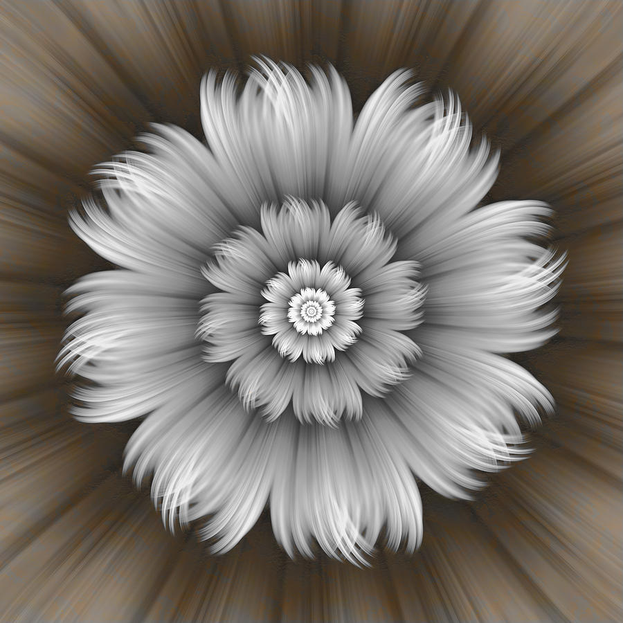 Abstract Grey Flower Digital Art by Gabiw Art