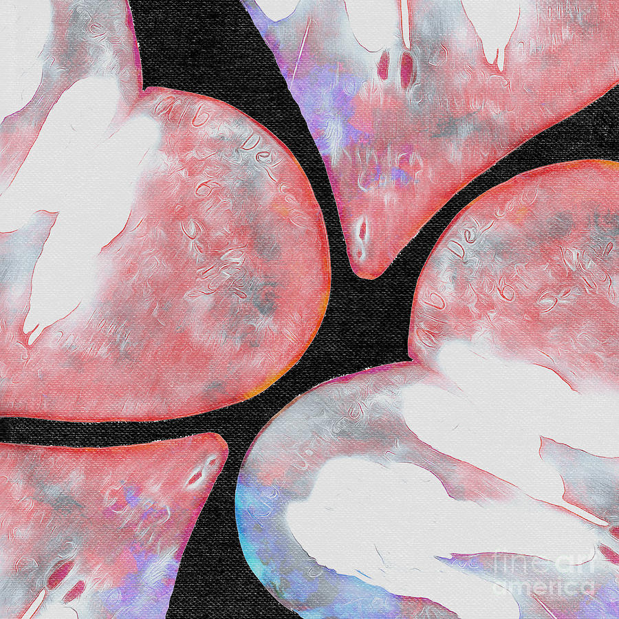 Heart Photograph - Abstract Hearts 20 by Edward Fielding