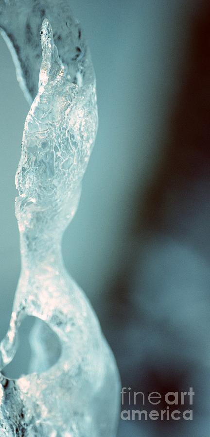 Abstract Ice 2014 Photograph by Maria Urso