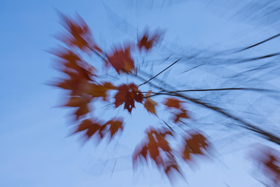 Abstract Impressions Of Fall - Autumn Wind Melody Photograph