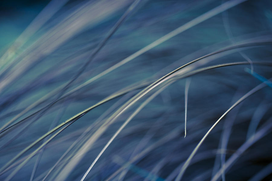 Abstract in Blues. Photograph by Clare Bambers