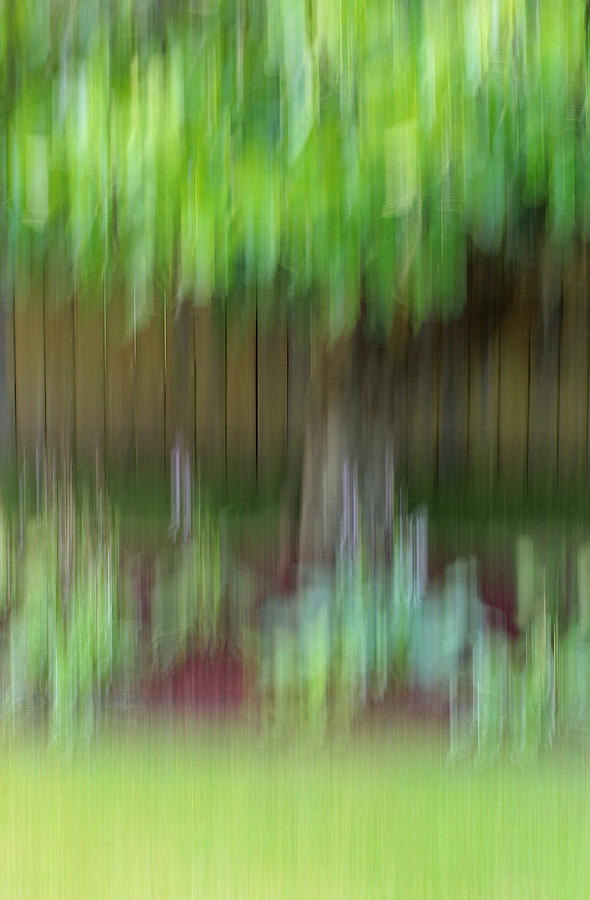 Abstract Photograph - Abstract in Green by E Faithe Lester