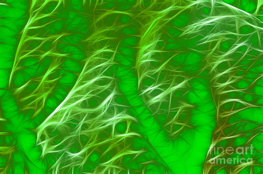 Abstract in Green Photograph by Vivian Christopher