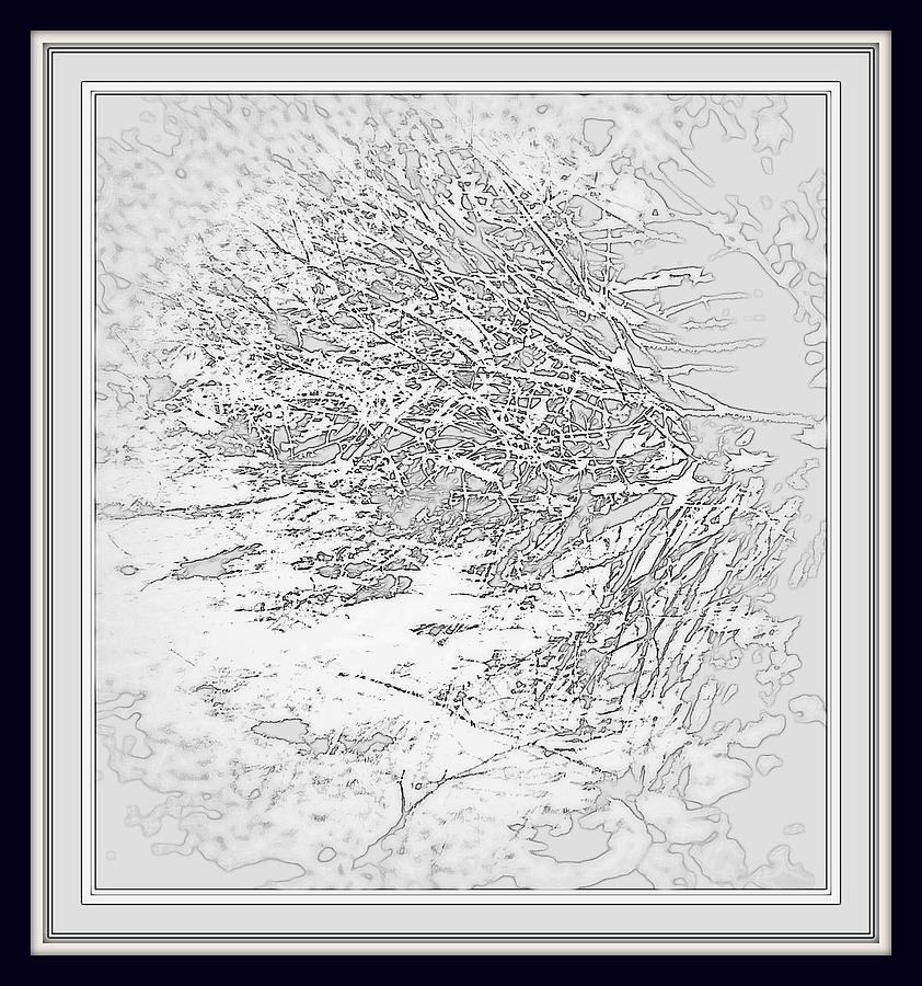 Abstract In Winter White And Navy   Photograph by Rosemarie E Seppala