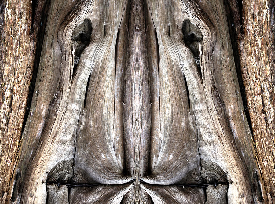 Abstract in Wood Photograph by Carol Senske