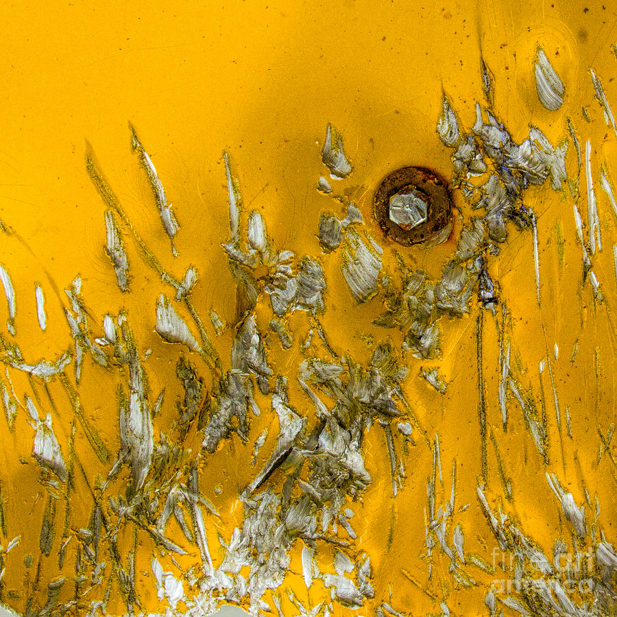 Abstract in Yellow Photograph by Marilyn Cornwell