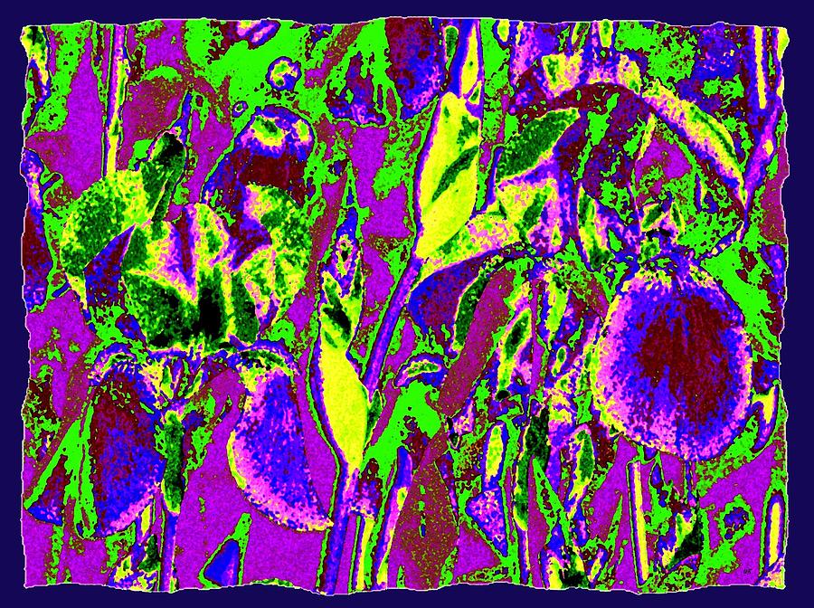 Abstract Irises Digital Art
