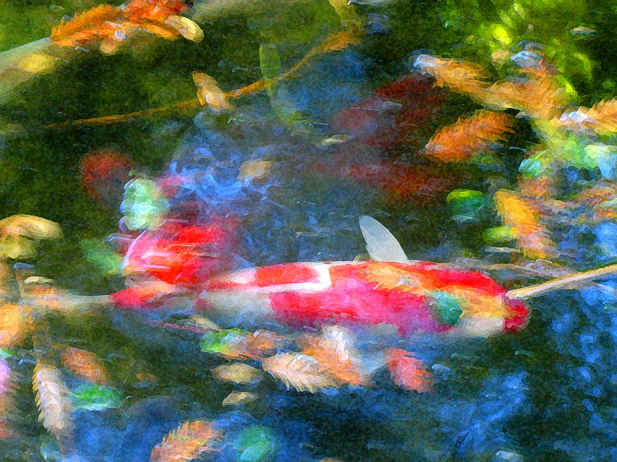 Claude Monet Painting - Abstract Koi 1 by Amy Vangsgard