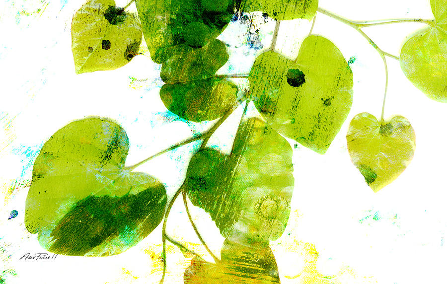 Abstract Leaves Green and White  Photograph by Ann Powell