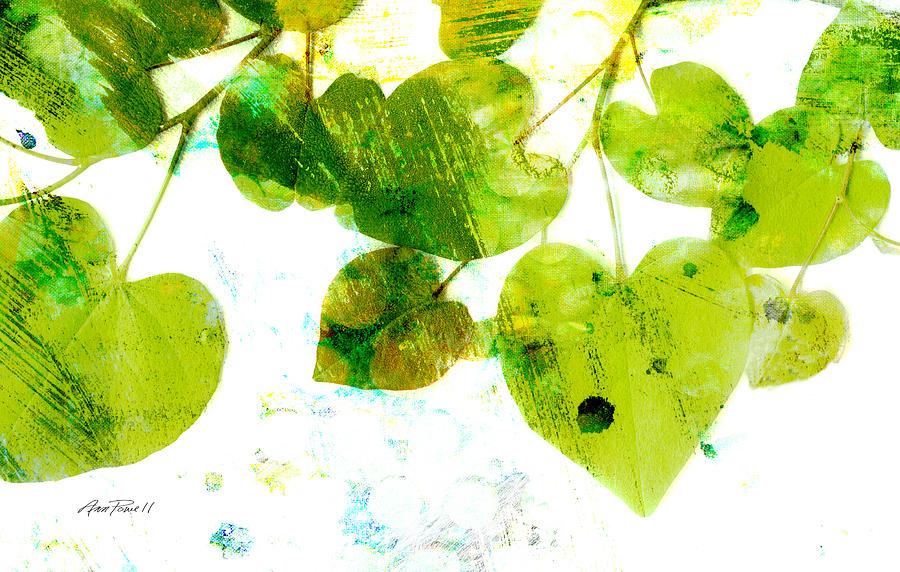 Abstract Leaves II Green and White  Photograph by Ann Powell