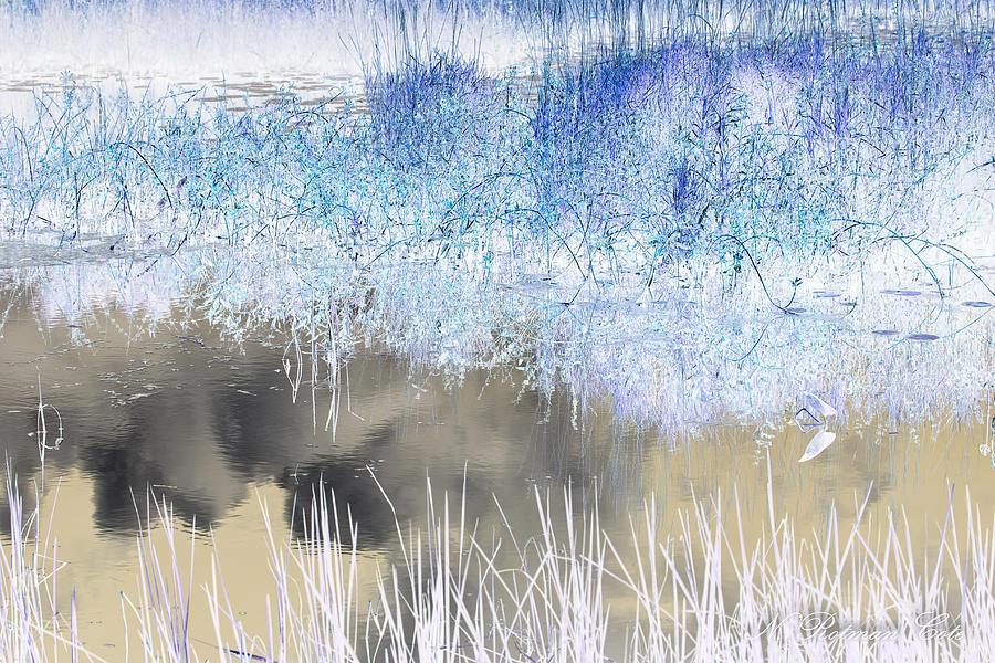 Abstract Marsh  Photograph by Natalie Rotman Cote