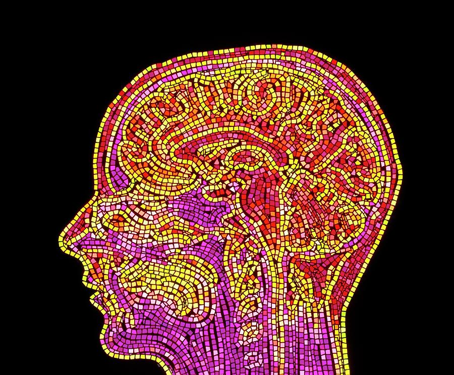 Abstract Mosaic Mri Scan Of The Human Brain Photograph by Mehau Kulyk/science Photo Library