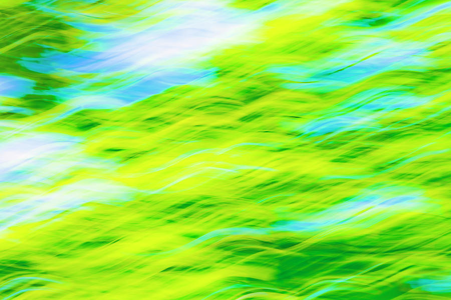 Abstract Natural Pattern In Green Photograph by Kim Westerskov