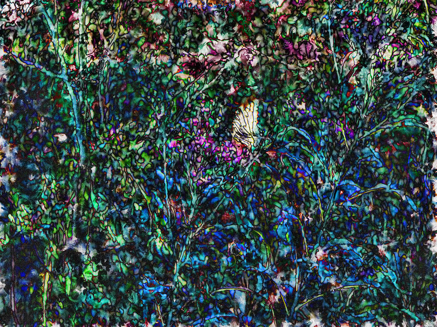 Abstract of a butterfly in the forest Digital Art by Cathy Anderson