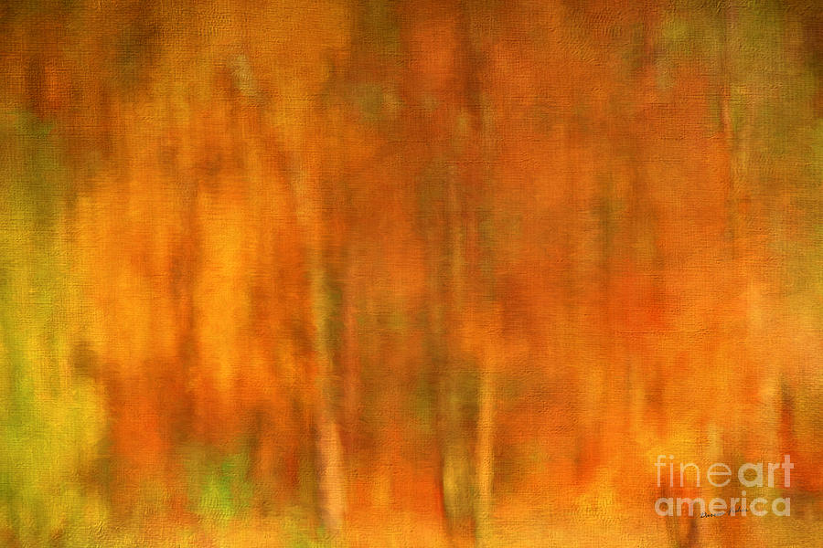 Abstract Photograph - Abstract of Autumn by Darren Fisher