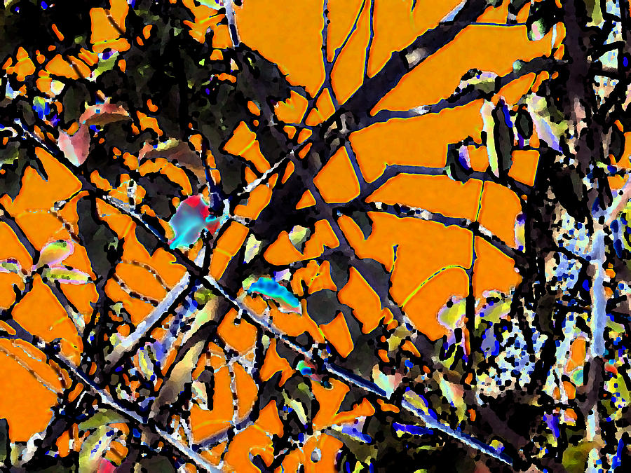 Abstract Of Leaves And Branches Digital Art by Eric Forster