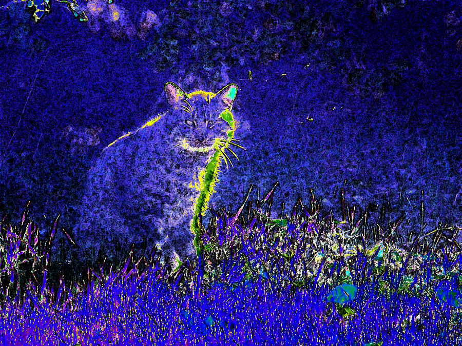 Abstract Of Neighborhood Cat Digital Art by Eric Forster