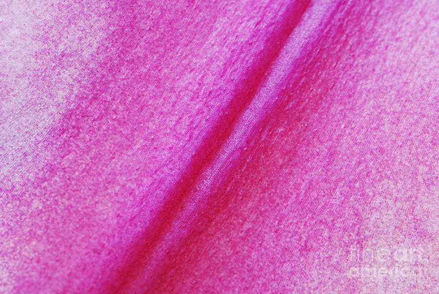 Abstract Of Pink Photograph by Wendy Wilton