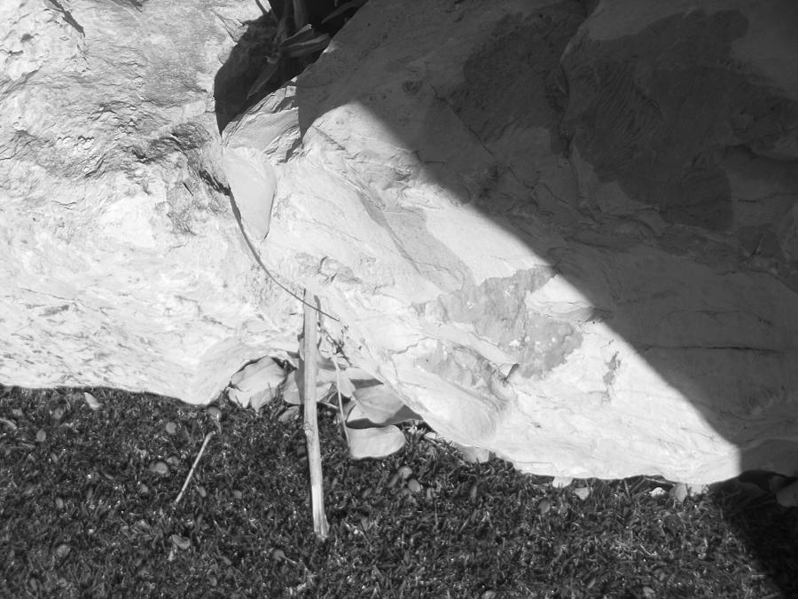 Black And White Photograph - Abstract of Rock and Shadow by Esther Newman-Cohen