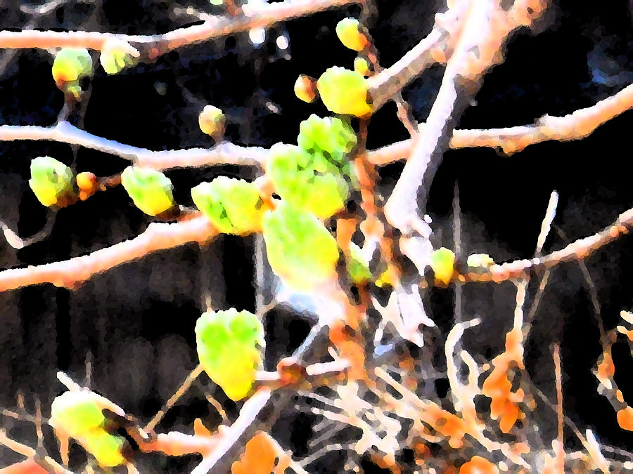 Abstract Of Spring Buds Digital Art by Eric Forster
