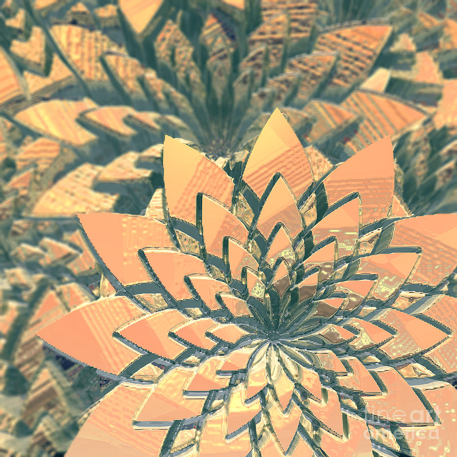 Abstract Orange Flowers Digital Art by Phil Perkins