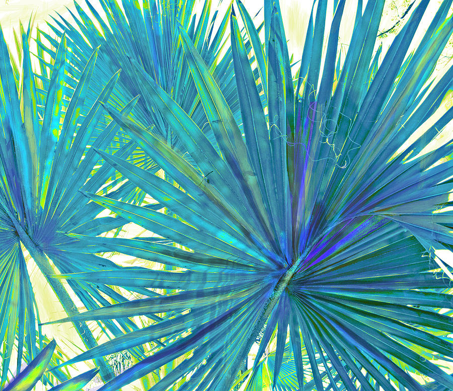 Abstract Palm 2 Digital Art by Jane Schnetlage - Fine Art America