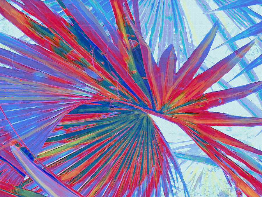 Tropical Digital Art - Abstract Palm by Jane Schnetlage