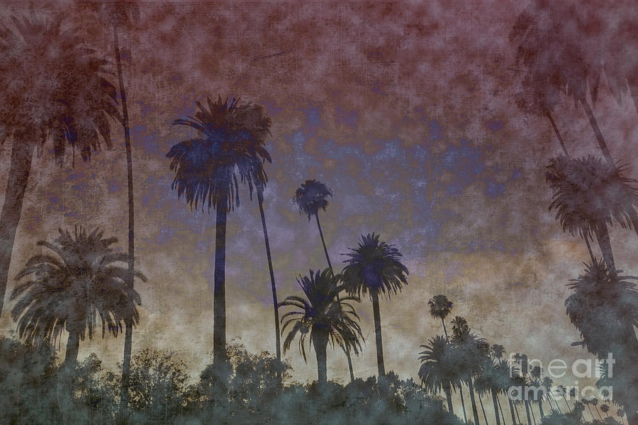 Abstract Palm Trees Photograph by Nina Prommer