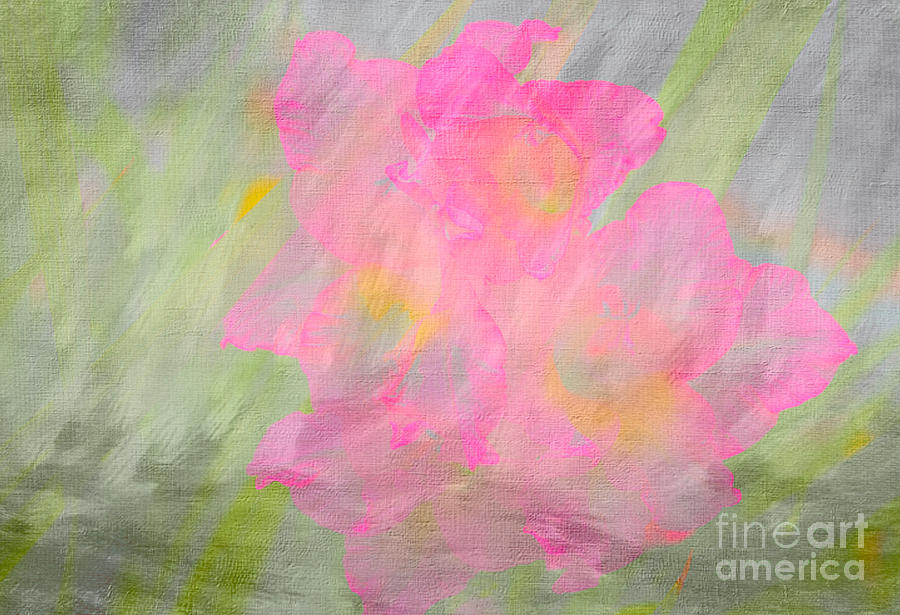 Abstract Pastel Photograph by Arlene Carmel