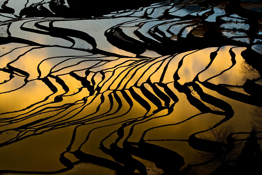 Abstract Pattern 2/6 Photograph by Jason KS Leung