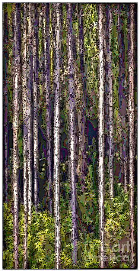 Pine Forest Digital Art by Walt Foegelle