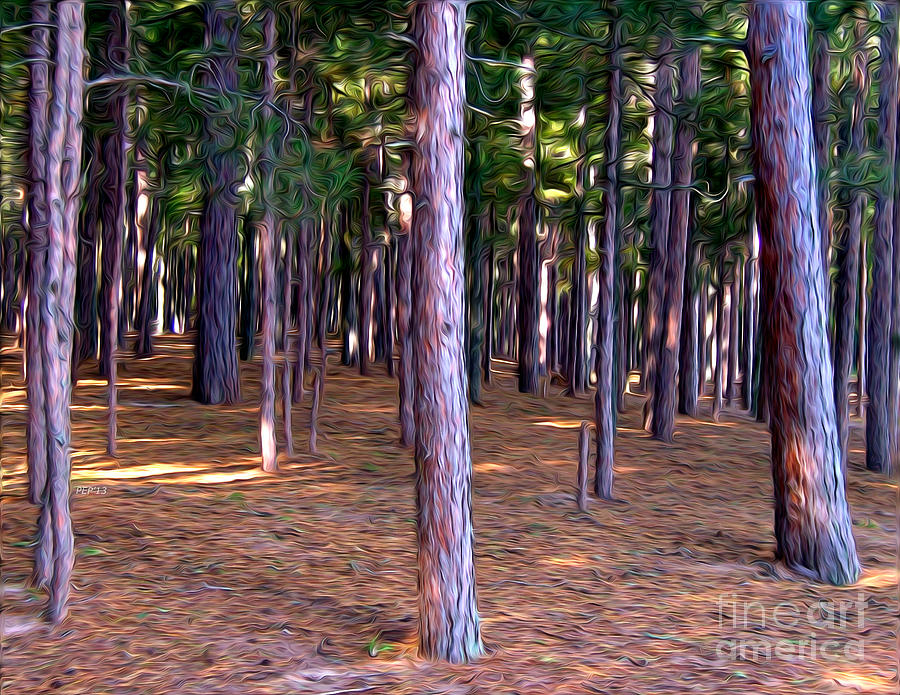 Abstract Digital Art - Abstract Pine Tree Forest by Phil Perkins