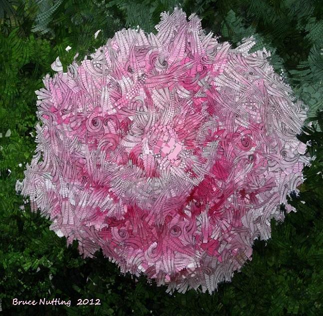 Abstract Pink Flower Painting by Bruce Nutting