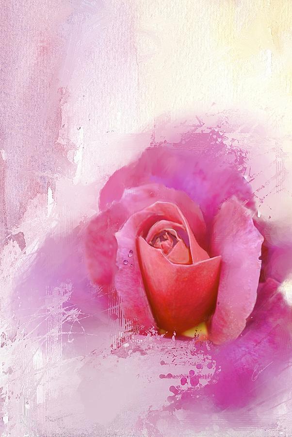 Abstract Painting - Abstract Pink Rose by Elaine Weiss