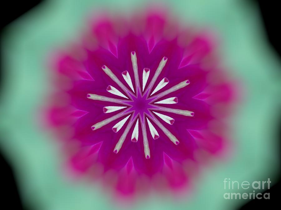 Abstract Photograph - Abstract Purple Star by Annette Allman