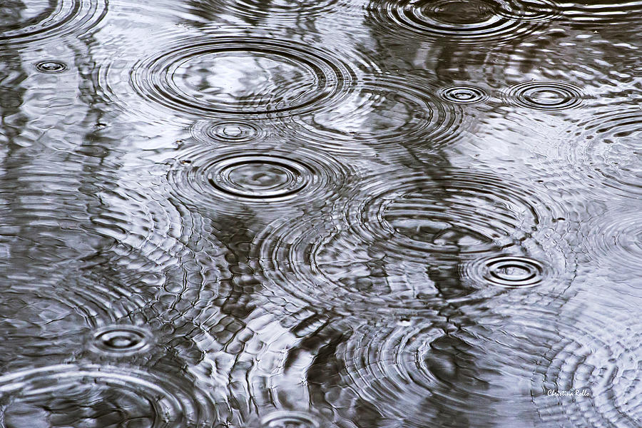 Abstract Raindrops Photograph by Christina Rollo