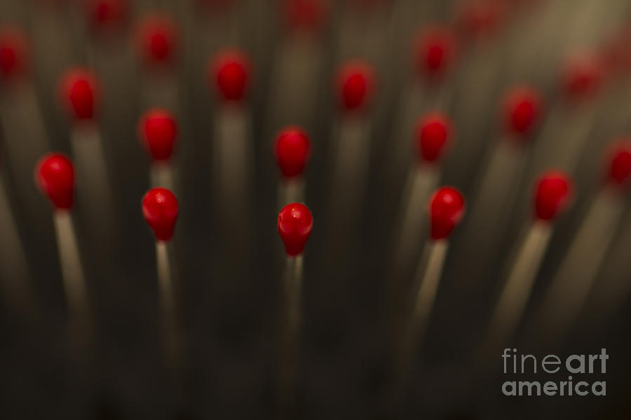 Abstract Red Dots. Photograph by Clare Bambers