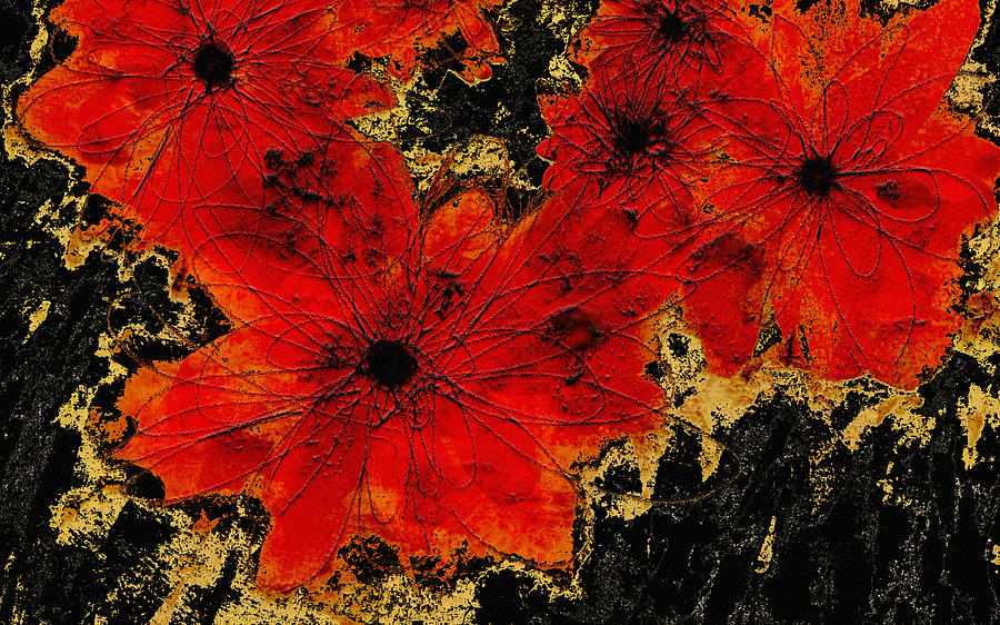 Abstract Red Flower Art Digital Art by Ann Powell