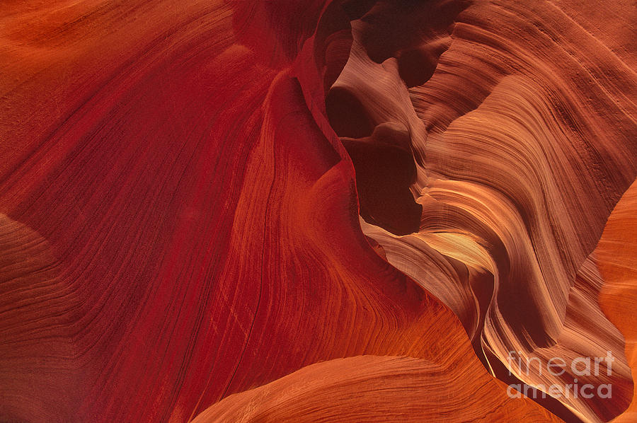Abstract Red Sandstone Formations Lower Antelope Slot Photograph by Dave Welling