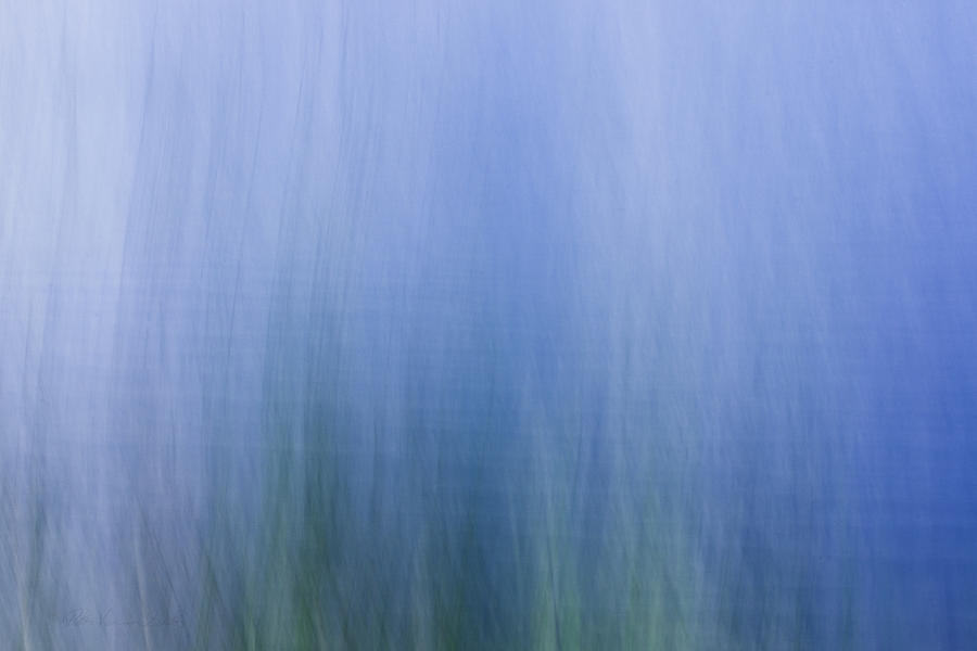 Abstract Reeds at the lake Photograph by Peter V Quenter