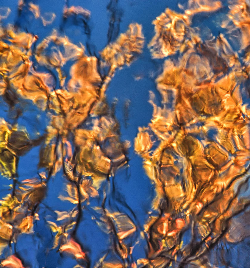 Abstract Reflections In Autumn Photograph by Gary Slawsky