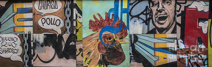 Abstract Rooster Panel Mixed Media by Terry Rowe