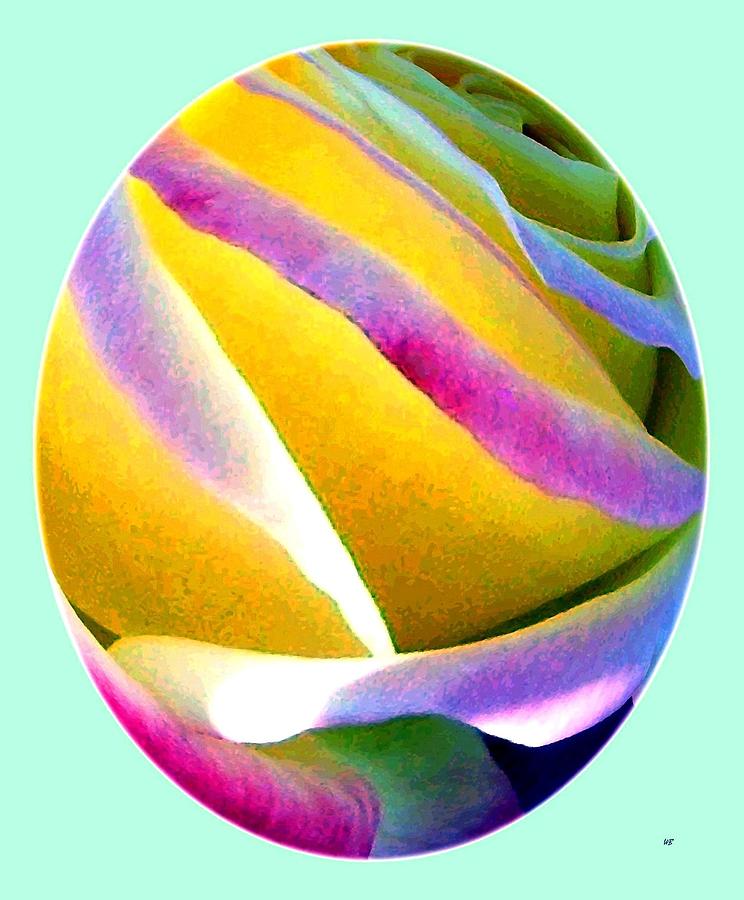 Abstract Rose Oval Digital Art by Will Borden