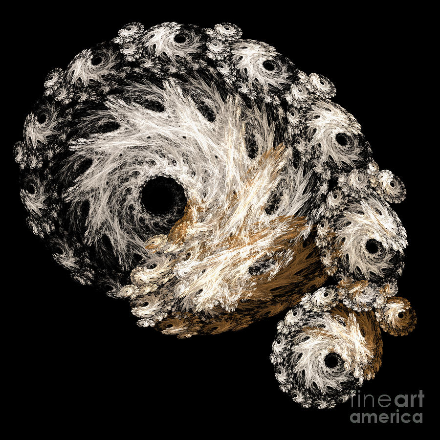 Abstract Seashell Digital Art by Andee Design