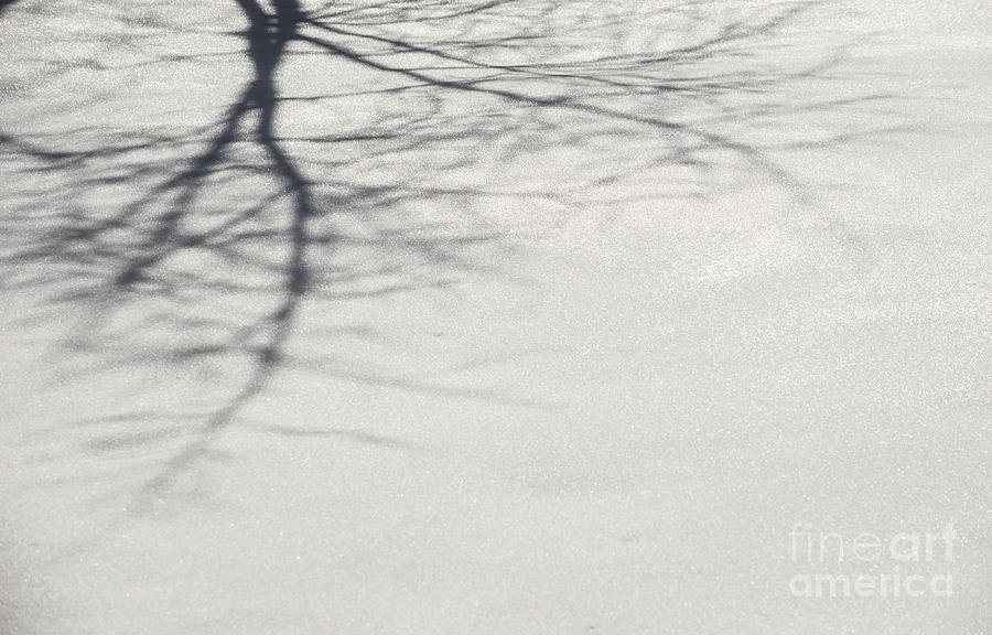 Abstract shadows Photograph by Deborah Smolinske